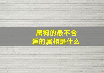 属狗的最不合适的属相是什么