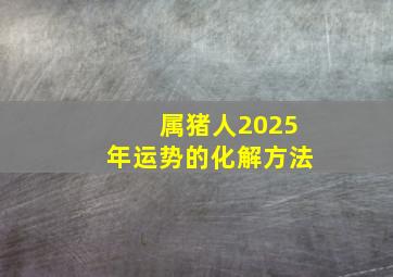 属猪人2025年运势的化解方法