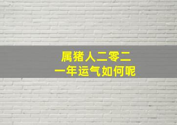 属猪人二零二一年运气如何呢