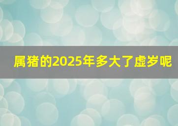 属猪的2025年多大了虚岁呢