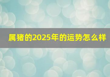 属猪的2025年的运势怎么样