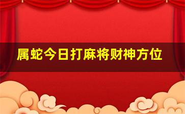 属蛇今日打麻将财神方位