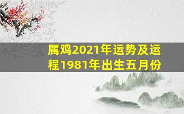 属鸡2021年运势及运程1981年出生五月份