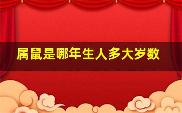 属鼠是哪年生人多大岁数