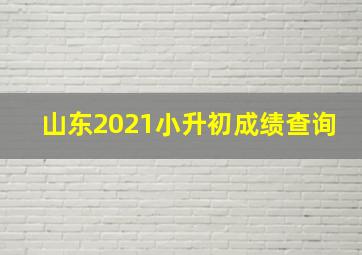 山东2021小升初成绩查询