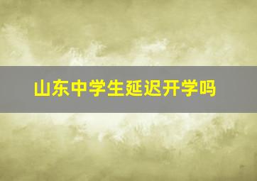 山东中学生延迟开学吗