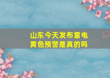 山东今天发布雷电黄色预警是真的吗