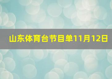 山东体育台节目单11月12日