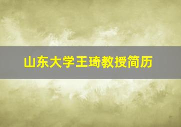 山东大学王琦教授简历