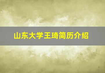 山东大学王琦简历介绍