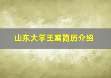 山东大学王雷简历介绍