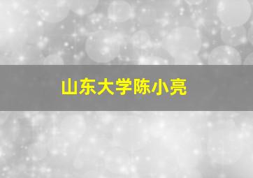 山东大学陈小亮