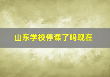 山东学校停课了吗现在