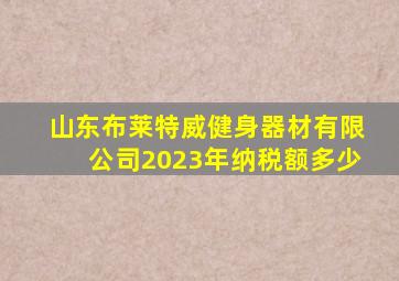 山东布莱特威健身器材有限公司2023年纳税额多少