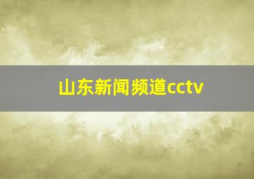 山东新闻频道cctv