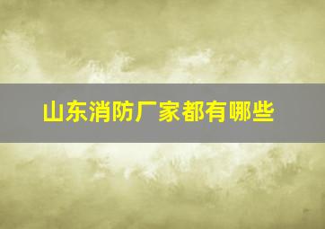 山东消防厂家都有哪些