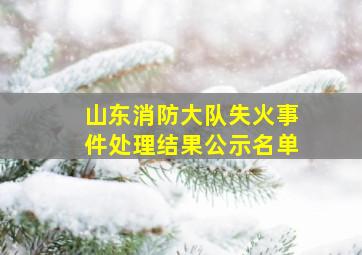 山东消防大队失火事件处理结果公示名单