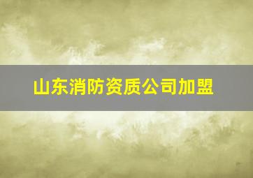 山东消防资质公司加盟