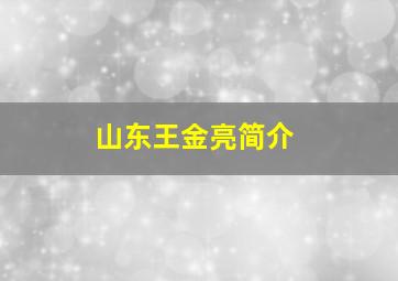 山东王金亮简介