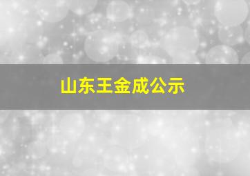 山东王金成公示