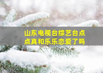 山东电视台综艺台点点真和乐乐恋爱了吗