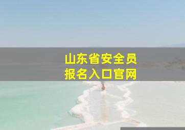 山东省安全员报名入口官网