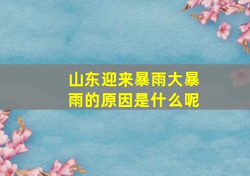 山东迎来暴雨大暴雨的原因是什么呢