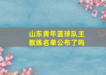 山东青年篮球队主教练名单公布了吗