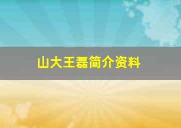 山大王磊简介资料