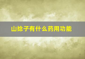 山捻子有什么药用功能