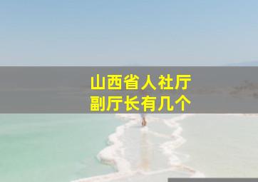 山西省人社厅副厅长有几个