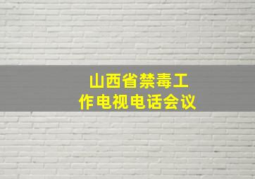 山西省禁毒工作电视电话会议