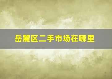 岳麓区二手市场在哪里