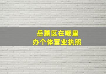 岳麓区在哪里办个体营业执照