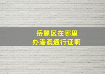 岳麓区在哪里办港澳通行证啊