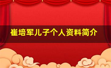 崔培军儿子个人资料简介