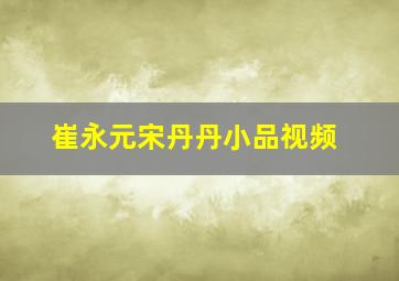 崔永元宋丹丹小品视频