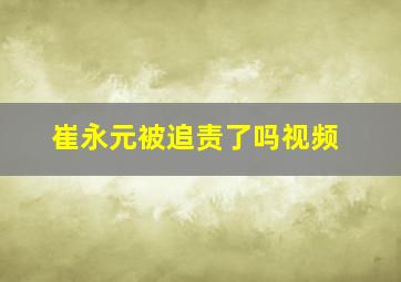 崔永元被追责了吗视频