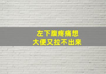 左下腹疼痛想大便又拉不出来