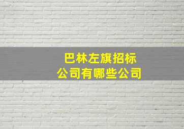 巴林左旗招标公司有哪些公司