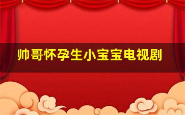 帅哥怀孕生小宝宝电视剧