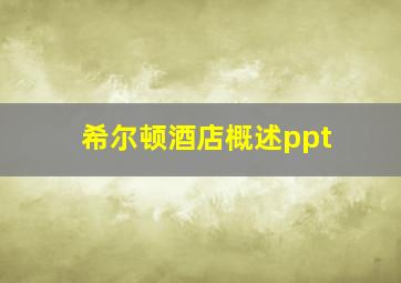 希尔顿酒店概述ppt