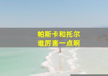 帕斯卡和托尔谁厉害一点啊