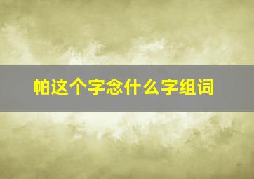 帕这个字念什么字组词