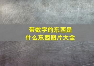 带数字的东西是什么东西图片大全