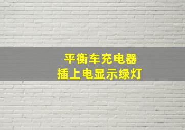 平衡车充电器插上电显示绿灯