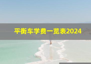 平衡车学费一览表2024