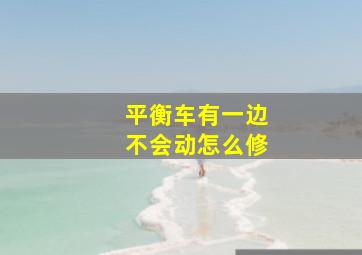 平衡车有一边不会动怎么修