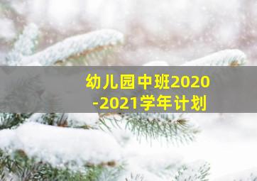 幼儿园中班2020-2021学年计划