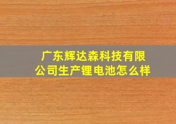 广东辉达森科技有限公司生产锂电池怎么样